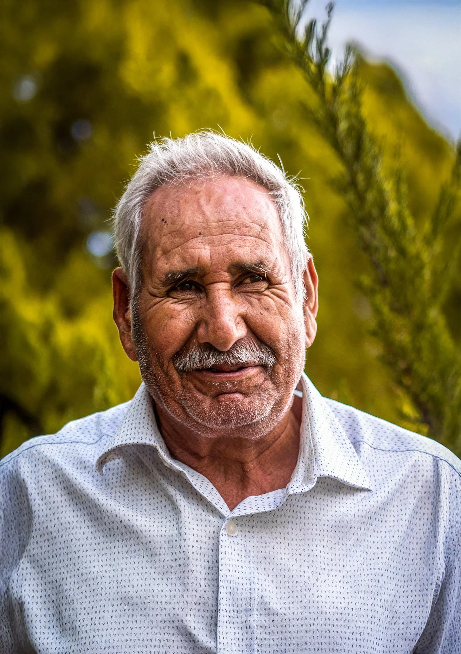 Na bewerking: Portret bewerkt